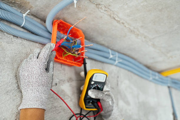 Best Electrician for Home Renovation  in Harbour Heights, FL